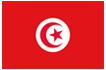 drapeau tunisie